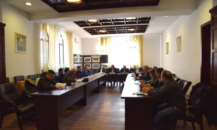 Un nou pas în constituirea Zonei Metropolitane Piatra-Neamț