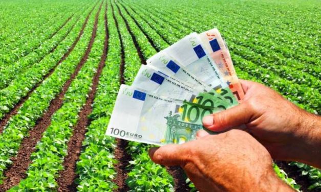 Peste 745 milioane de euro autorizați la plată de APIA pentru fermieri! Vezi numărul de beneficiari din judetul Neamț Neam